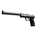 StatTrak™ USP-S | Поток информации