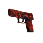 StatTrak™ P250 | Ворон