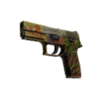 StatTrak™ P250 | Инферно